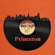 Princeton University Vinyl Wall Art - VinylShop.US